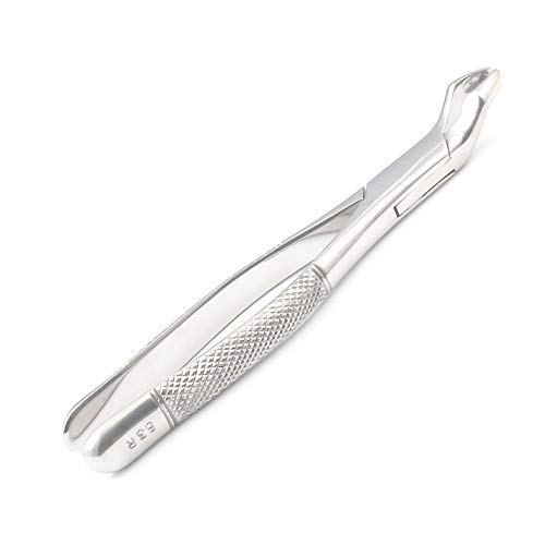 WellnessD'Light - Stainless Steel Orthodontics 1St & 2Nd Upper Molars 53R Right Extracting Forceps.