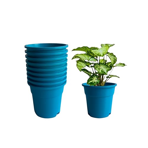 Image of Indian Gardens - 4 inch Indoor (Pack of 10) Plastic Small Colour pots | Plastic Plant Pot for Terrace Garden (Blue)