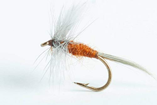 Blue Wing Olive Mahogany Dun Dry Fly, 6-Pack (14)