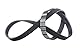 FEBI BILSTEIN Keilrippenriemen 38424