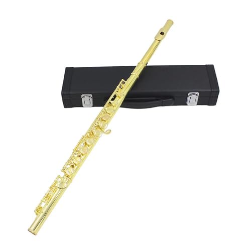 Flauta travesera principiante Llave Plateada Chapada En Oro Flauta De 16 Agujeros Viento De Madera Agujero Cerrado Llave E/accesorios De Caja