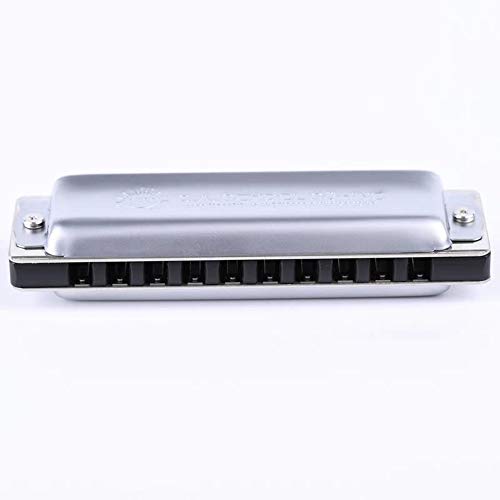 KIRANDIE Harmonica diatonique 10 Trous 20 Note Harp Key of C Aluminium Peigne Roseaux Inoxydable Instruments de Musique… - Les Beatles, Paul McCartney, John Lennon, RIngo Starr, George Harrison KIRANDIE Harmonica diatonique 10 Trous 20 Note Harp Key of C Aluminium Peigne Roseaux Inoxydable Instruments de Musique… – Image 3