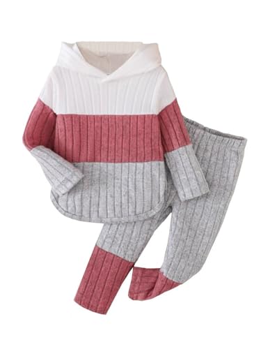 Doresbebe Toddler Girl Clothes 3-4 Years Little Girls Outfits Stylish Color Blocked Hooded Knit Sweatshirts Pants Set Cozy Ribbed Fabric Outfit Vibrant Fashion Details 2Pcs Pink