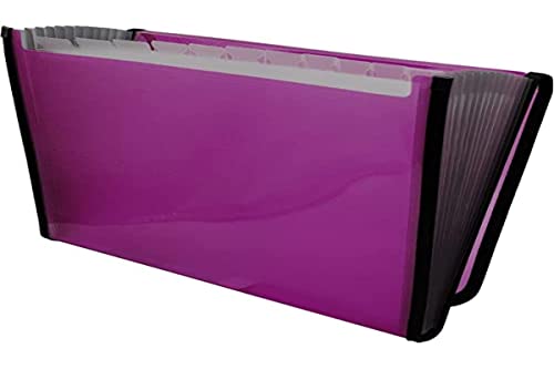 Raylu Paper® - Akkordeon-Sortiermappe mit 12 Fächern, Kunststoff-Ordner für Büro mit verstärkten Trennwänden und Kanten (Fuchsia) Cover