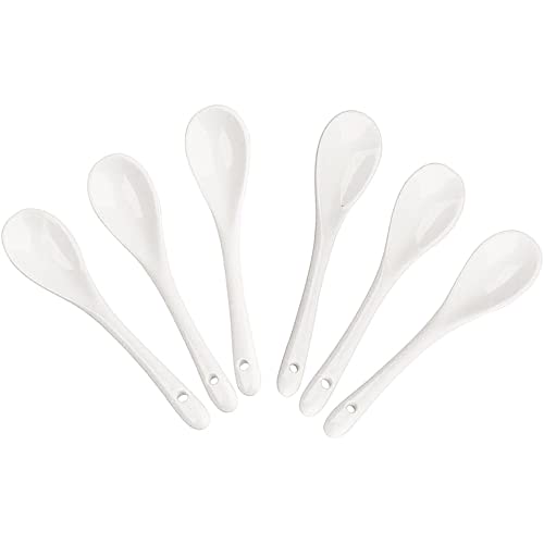 Vetrineinrete® Cucchiaini in porcellana 6 pezzi