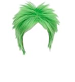 Kadiya Short Green Boy Cosplay Wig Heat Resistant Synthetic Hair