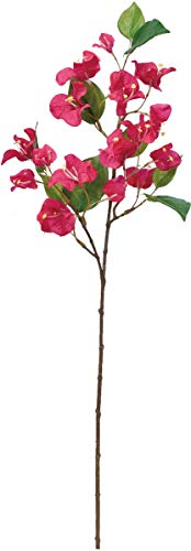 ASCA  u[QrA×18 r[eB S:60cm A-33840-022