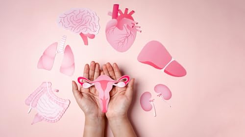 『"Voldsomme tal": Så mange kvinder i dansk kæmpestudie får gener i overgangsalderen』のカバーアート