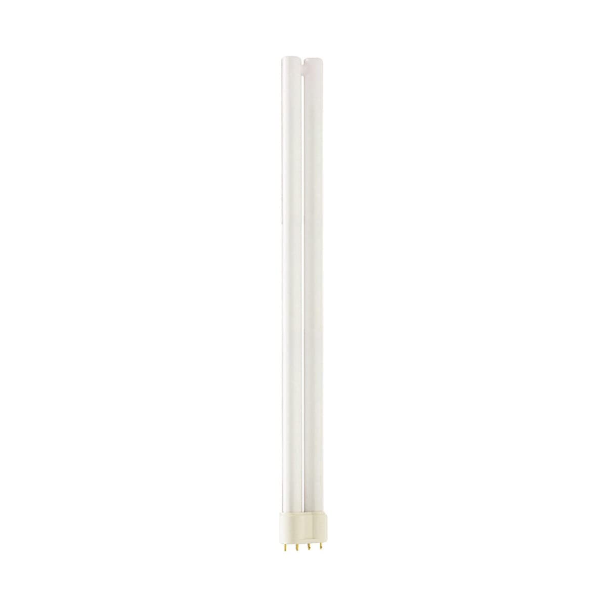 Philips Master PL-L 4 Pin 36 W 2 G11 Cool Daylight Fluorescent Bulb – Fluorescent Bulbs 2900 lm