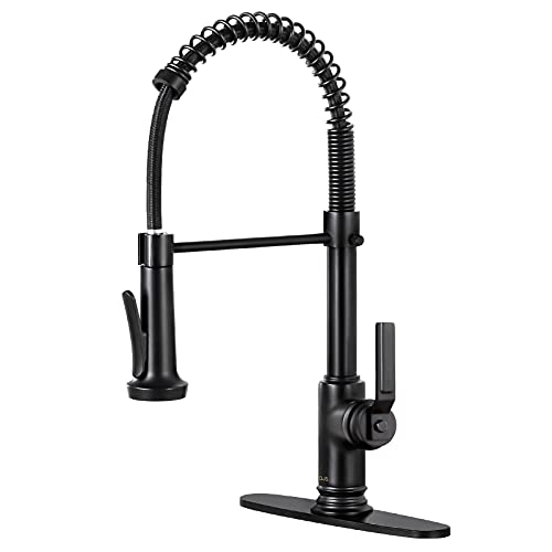 DJS Kitchen Faucets with Pull Down Sprayer, Faucet for Kitchen Sink, Single Handle Single Lever High Arc Spring Faucet with Deck Plate for 1 or 3 Holes Sink. (Matte Black)