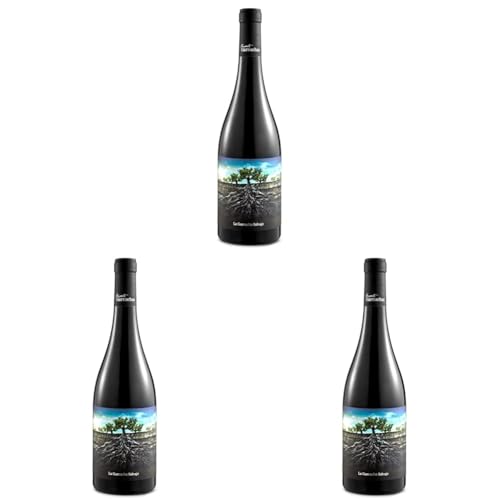GARNACHA SALVAJE MONCAYO vino tinto de Ribera del Queiles botella 75 cl (Paquete de 3)