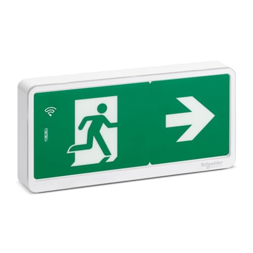 Schneider Electric - Exiway Light Bloc de secours Evacuation IP42 SATI LINK - OVA59130