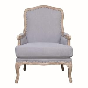 Bowery hill transitional fabricwood nail head trim accent chair in light blue  urban country home decor