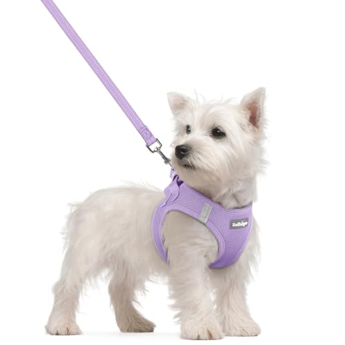 Rabbitgoo Step-In Harness & Leash Set (Light Purple, Small)