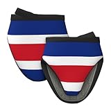 Mini-Silikon-Flagge von Costa Rica, Ofenhandschuhe, Topflappen-Set, hitzebeständig, ideal zum Backen, Kochen und Camping, 2 Stück