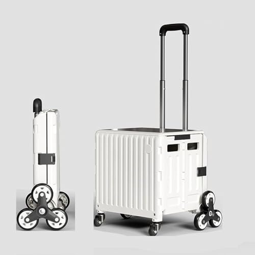 L[J[g 8֐ÉLX^[ AvRbg ܂肽 \h[o[ 47L VbsOJ[g AEghA RpNg e J[g LvpJ[g sNjbN  y ^ É 360°] ܂  (47L,x