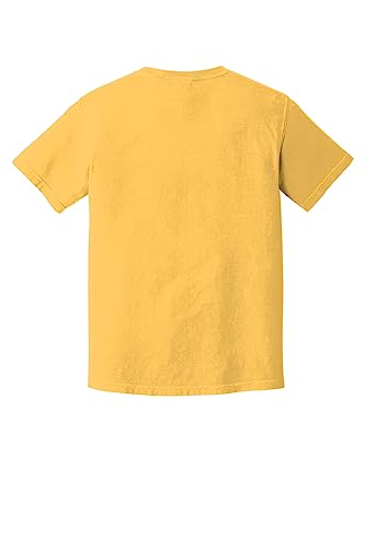 Image of Comfort Colors Adult Short Sleeve Tee, Style G1717