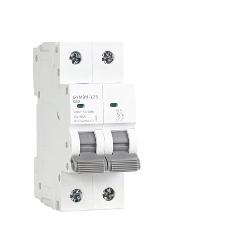 Disjoncteur MCB AC GYM9H-125 1P C125A 10KA pour tableau électrique