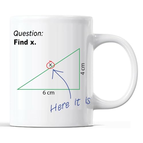 Gift Island Mug pour professeur de mathématiques – Cadeaux pour professeurs de mathématiques – Cadeau pour professeur de mathématiques – FIND X – 325 ml