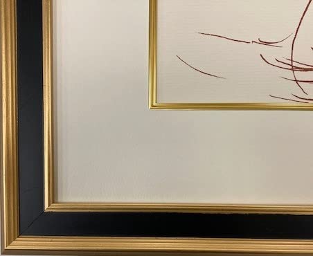 Amazon.co.jp: アンリ・マティス リトグラフ石版画 RONSARD XXVI