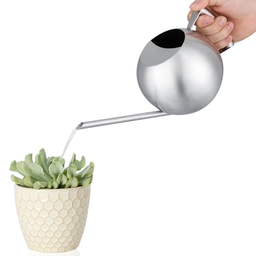 Stainless Steel Watering Can