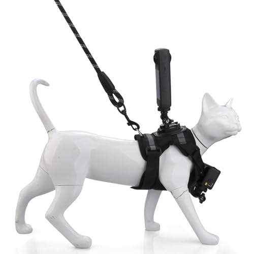 Harnais pour chat réglable avec double support de caméra gilet de randonnée - 3