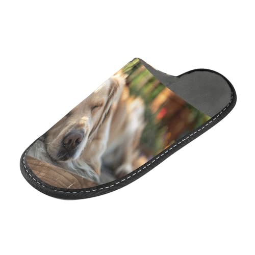 senya Golden Retriever Sleeping Fuzzy Slippers Soft Home Bedroom Slippers for Women Men House Shoes