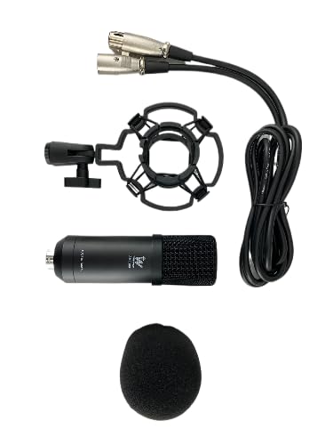 Amazon.co.jp: Tone weal AMC300 コンデンサーマイク – カーディオイド