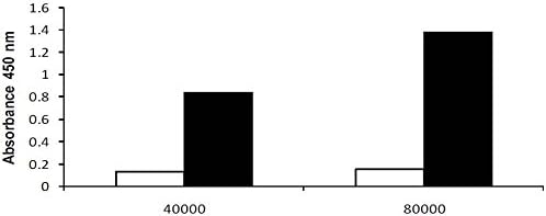 LDH-Cytotoxicity Colorimetric Assay Kit II