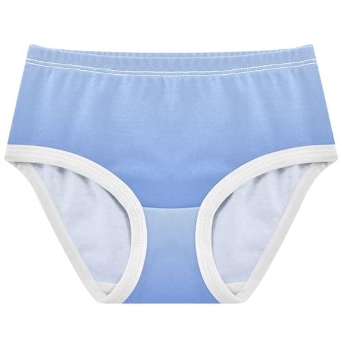 Joisal Elegant Blue Salvia Gradient Panties for Girl Girls Underwear Toddler Cotton Flower Briefs Underpants 2t