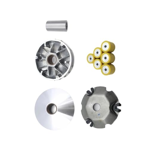 Roulement à rouleaux de variateur Primavera 150 pour une transmission fluide