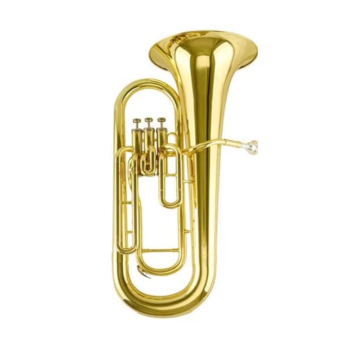 BtbgX[X^hL[[tHjAuXbJ[S[h[WzlwǊy [tHjALbg