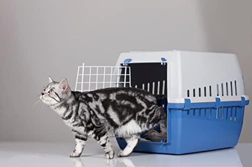 Mein HERZ Take it Easy Globuli - aus Liebe zu ihrer Katze - Natürliche Globuli bei Angst, Stress, Unruhe, Autofahrten, Urlaub, Unwetter und Lärm, bioenergetisch/radionisch mit Bachblüten informiert.