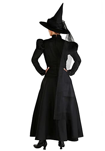 Adult Timeless Wicked Witch Costume Womens, Classic Movie Spooky Fitted Salem Halloween Outfit Large #TOP5