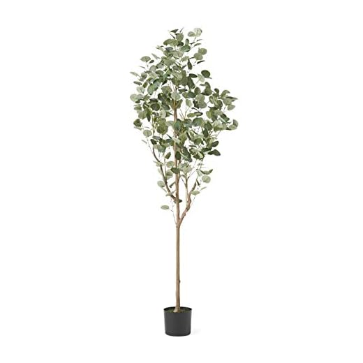 Christopher Knight Home Artificial Plants, 6 ft x 2.5 ft, Green + Black