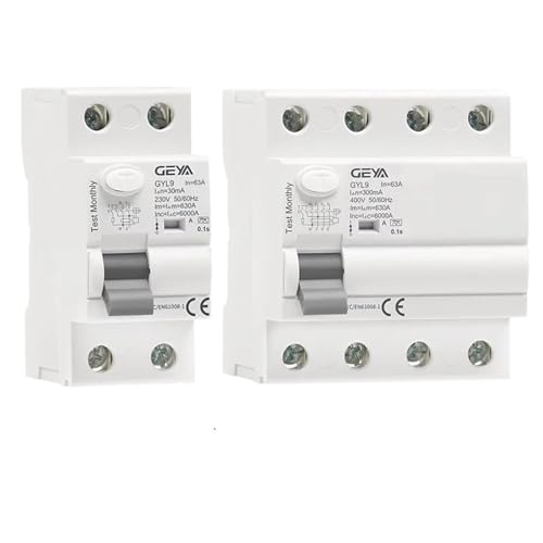 RCCB interruptor diferencial 2 polos 63A 300mA tipo A para cuadro eléctrico 4