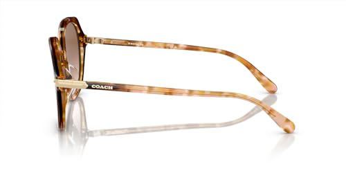 Coach Women's Hc8377u Universal Fit Round Sunglasses3
