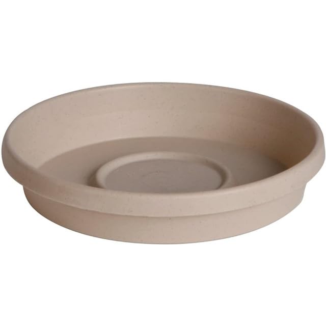 Classic Plant Saucer, 24" Sandstone