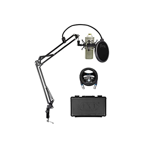 Top 13 Best Microphone For Recording Piano Reviews 2022