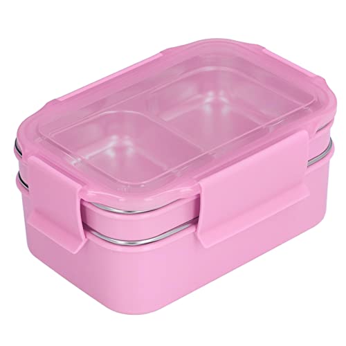 AUNMAS Lunch Box, Reusable Stainless Steel Lunch Box, Double Layer Box Stainless Steel Lunch Box for Office for Travel ()
