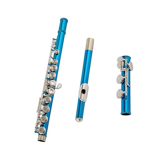 チェコ製未使用エレガントな青色フルートグラス イタリア製 グッチーニ