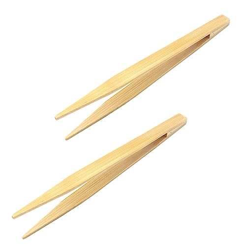 HANABASS 2個防静電竹製爬虫類給餌ピン 滑り止めペット餌やりクリップ 水槽用リタークリーナー適合トカゲ ヘビ クモ ヤモリ用