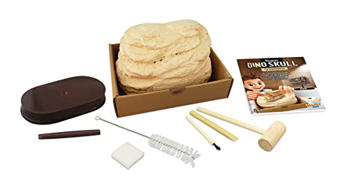 Buki - 2130 - Museum dino skull - t-rex