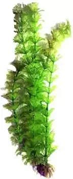 Kapoor pets KFP-05 - Aquarium Pot Aquarium Plant Anchor ((Plant Anchors1) (B0974FC3ST) Amazon Price History, Amazon Price Tracker