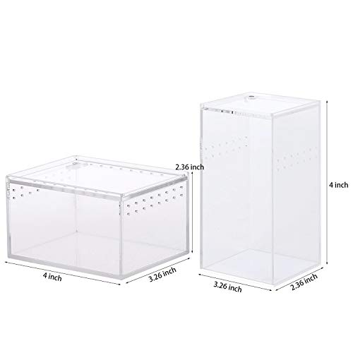 2 Pack Acrylic Reptile Terrarium Insect Tarantula Enclosure Tank Snail Spider Habitat Cage Mini Critter Keeper Insect Carrier Transparent Reptile Isopods Lizards Roach Invertebrates Insect Feeding Box #TOP4