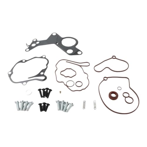 Kit de reparación de bomba de vacío compatible con Beetle Tdi Bew BRM Bhw miniatura 2
