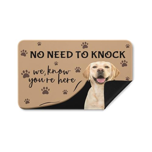 CETPYSYT Personalized Monogram Door Mats with Family Name Custom Welcome Door Mat for Front Door with Anti-Slip Backing Personalized Doormat with Initial for Home Entrance Made in USA