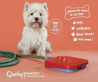 Pawcet Pet Fountain - Pressure Pedal Activated Pet Water Fountain for Dogs - Image 6