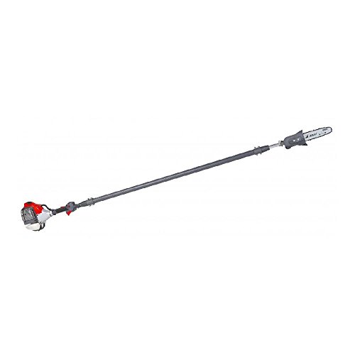 Pole Saw Reviews » Blog Archive » Check Out This Efco PTX2710 Pole Saw