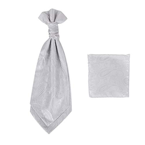 Epoint C.b.aq.r.010 Silver Paisley Pre-Tied Cravat Silk Bridegrooms Ascot Hanky Set #TOP5